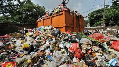 Photo of Connexion:  A neighbouring state gets cleaner