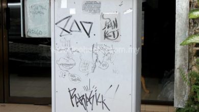 Photo of Vandalism a Growing Menace