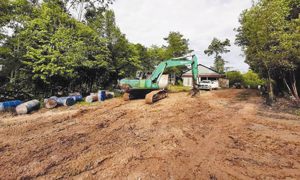 Thinking Allowed White Elephants Environmental Destruction And The Perak Corporation Bhd Ipoh Echo