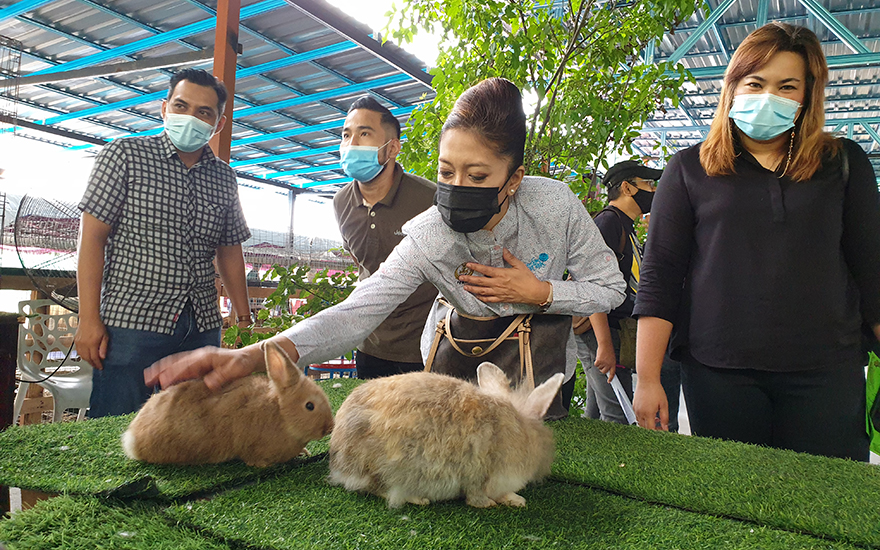 Petting Zoo @ Gunung Lang Opens Today | Ipoh Echo