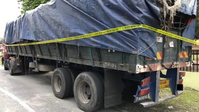 Photo of Lorries Illegally Transporting Rubber Wood Seized