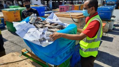 Photo of Attempt to Smuggle Fish Worth RM10,000 Stopped by MAQIS