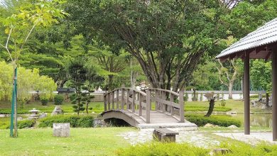 Photo of The Unique Japanese Garden of Ipoh