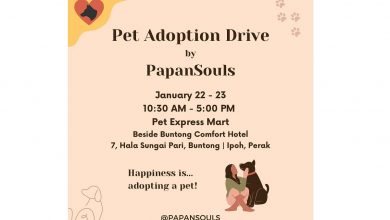 Photo of PapanSouls: Pet Adoption Drive (22 & 23 Jan 2022)