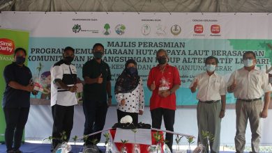 Photo of RM1.2 Million Allocated For Community-Based Mangrove Conservation and Sustainable Livelihood Programme 