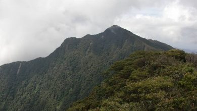 Photo of Mount Korbu – A Hotspot for Avid Hikers