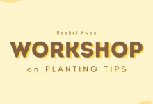 Photo of UTPlant: Go4Green – Workshop on Planting Tips