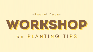 Photo of UTPlant: Go4Green – Workshop on Planting Tips