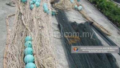 Photo of Malaysia Maritime Seizes Seine Net Cast in No-Fishing Zone