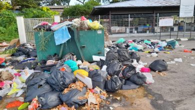 Photo of Strict Penalty for Illegal Dumping of Wastes