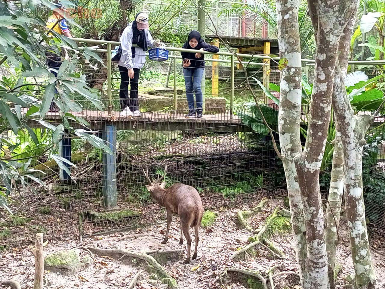 Bukit Merah Laketown Resort is a popular holiday location in northern ...