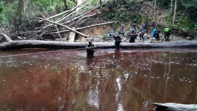 Photo of Poaching syndicate busted in Gua Musang