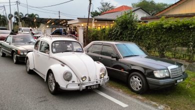 Photo of 21 classic vehicles flag off for abandoned animals