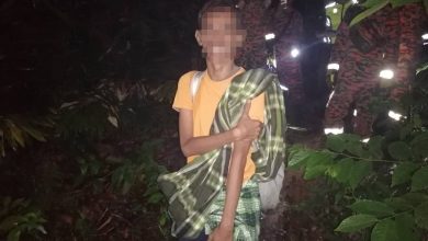 Photo of Work pressure led man to live in the forest