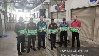 Photo of FAMA Perak Receives 10,000 Locally Sourced Rice Bags for Sale