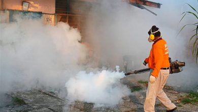 Photo of Dengue fever cases increasing, mosquito fogging carried out early in the morning
