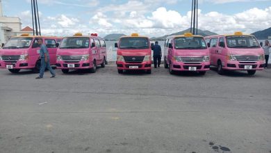 Photo of Pink taxis on Pangkor Island may disappear due to operations of unauthorized car and motorcycle rentals