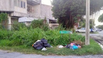 Photo of Undergrowth Overgrown, Illegal Waste Piles in Pasir Pinji Demand Immediate Attention