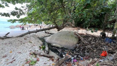 Photo of Embarrassing! Garbage, litter, and foul-smelling water reservoirs pollute Teluk Nipah Beach