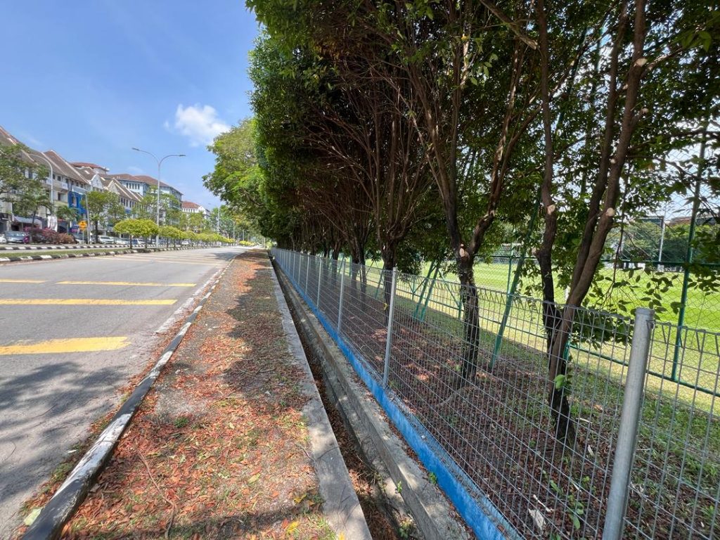 MBI Takes Swift Action to Clear Tree Branches Blocking Pedestrian Path ...