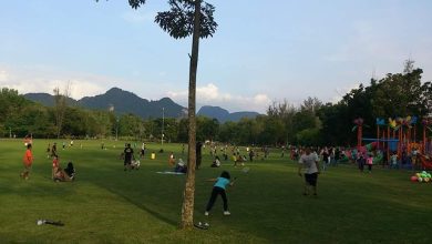 Photo of Don’t change Padang Polo into a synthetic football field