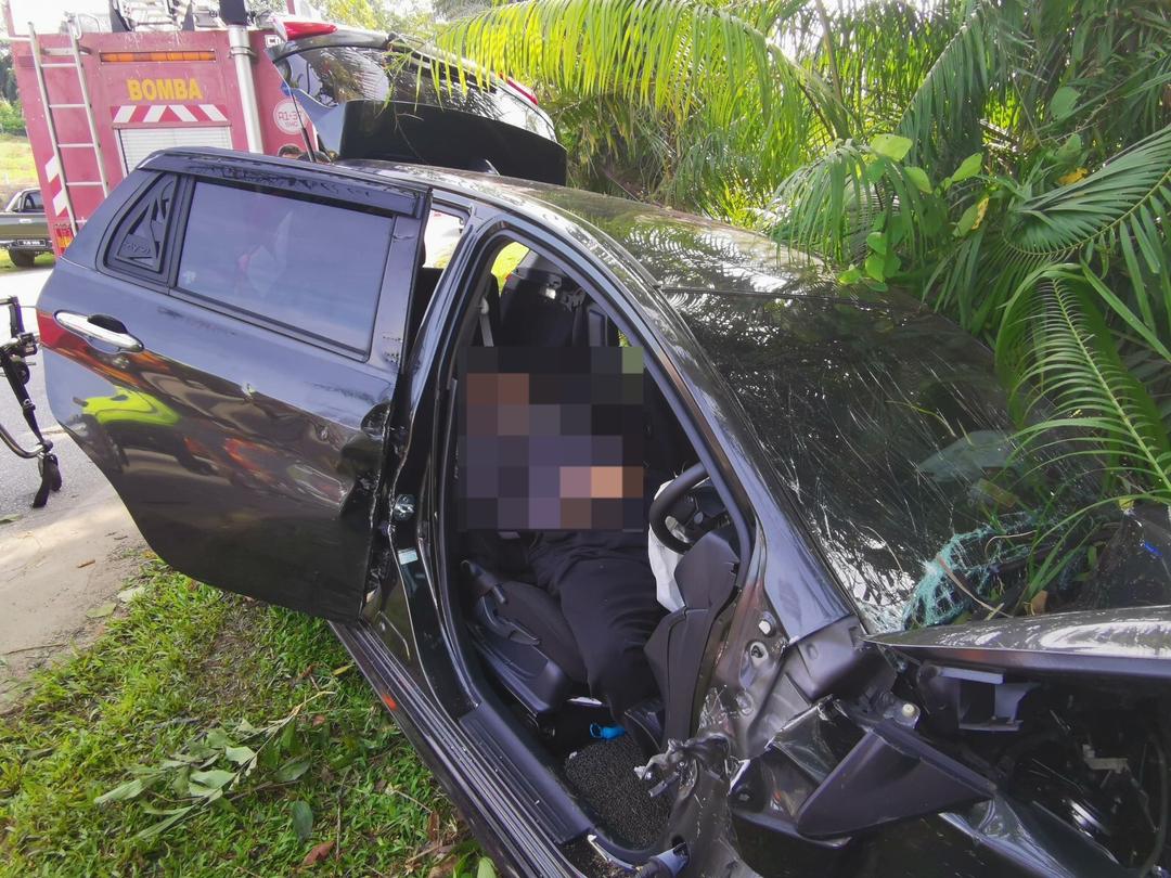 Pakistani Man Dies After Car Crashes Into Palm Tree | Ipoh Echo